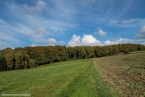 Bild00038
