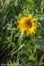Bild00040