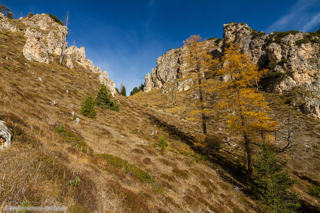 Bild00018