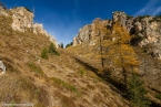 Bild00018