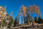 Bild00036