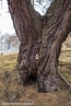 Bild00051