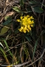Bild00057