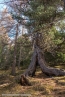 Bild00059