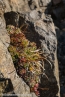 Bild00172