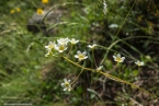 2018_korsika_358
