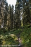 2018_ht_muehlbach_004