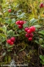 2018_ht_muehlbach_014