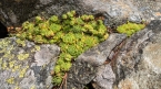 2018_ht_muehlbach_018