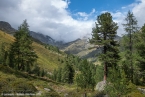 2018_ht_muehlbach_030