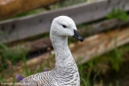 2018_ht_muehlbach_039
