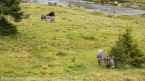 2018_ht_muehlbach_046