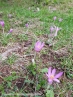 2018_ht_muehlbach_062