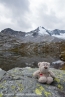 2018_ht_muehlbach_102