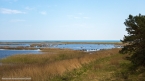 2018_prerow_06