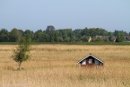 2018_prerow_43