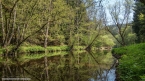 DSC04010