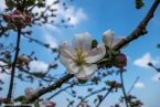 DSC04038