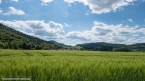 DSC04052