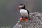 2019_norwegen_113