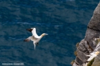 2019_norwegen_141