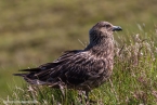 2019_norwegen_147