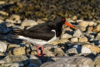 2019_norwegen_208