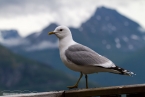 2019_norwegen_217