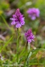 2019_norwegen_340
