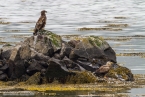 2019_norwegen_374