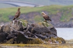 2019_norwegen_375