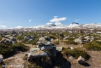 2019_norwegen_384