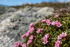 2019_norwegen_399