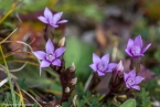 2019_welsberg_004