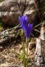 2019_welsberg_006