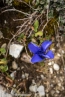2019_welsberg_008