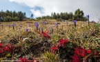 2019_welsberg_020