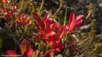 2019_welsberg_024