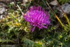 2019_welsberg_026