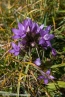 2019_welsberg_039