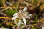 2019_welsberg_051