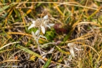2019_welsberg_052