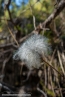 2019_welsberg_079