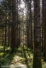 202010_nockberge_falkertsee_60