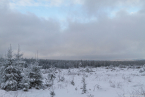 202101_winter_01