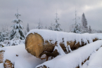 202101_winter_02