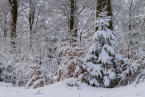202101_winter_04