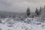 202101_winter_05