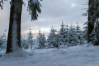 202101_winter_07