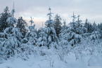 202101_winter_08